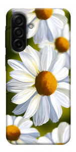 Чехол Ароматная ромашка для Galaxy A17 5G