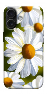 Чохол Ароматна ромашка для iPhone 17