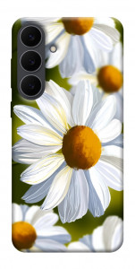 Чехол Ароматная ромашка для Galaxy S25 FE