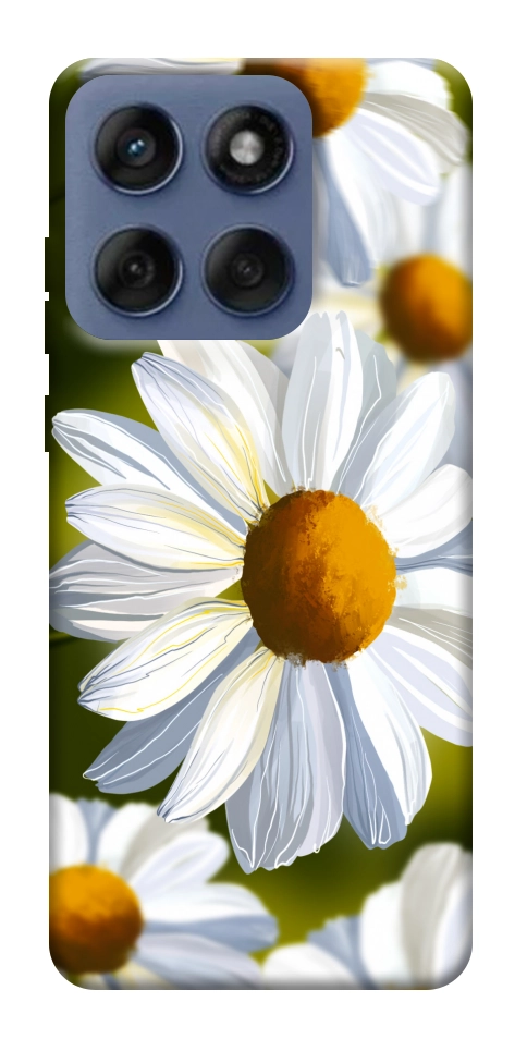 Чохол Ароматна ромашка для Motorola Edge 60 Fusion
