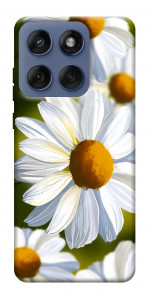 Чохол Ароматна ромашка для Motorola Edge 60 Fusion