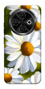 Чехол Ароматная ромашка для TECNO Spark 30C (KL5n)