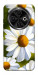 Чехол Ароматная ромашка для TECNO Spark 30C (KL5n)