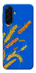 Чохол Колоски для Galaxy A17 5G