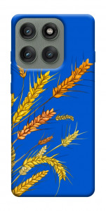 Чохол Колоски для Motorola Edge 60 Pro