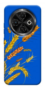 Чехол Колоски для TECNO Spark 30C (KL5n)