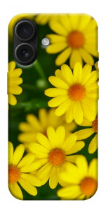 Чохол Yellow chamomiles для iPhone 17