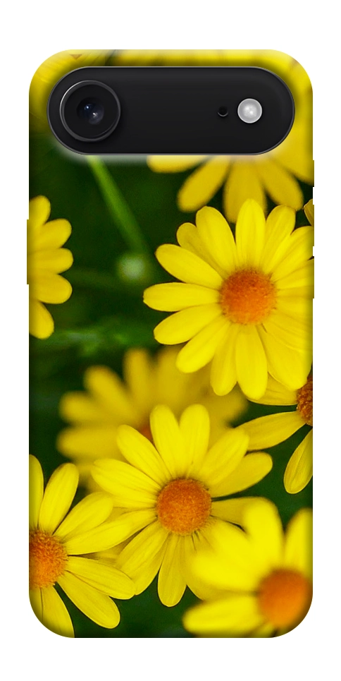 Чохол Yellow chamomiles для iPhone 17 Air