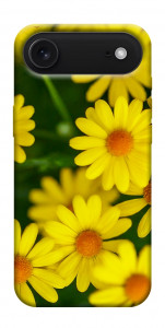 Чохол Yellow chamomiles для iPhone 17 Air