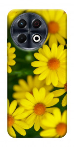 Чохол Yellow chamomiles для TECNO Spark 30 Pro (KL7)