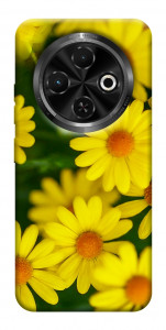 Чехол Yellow chamomiles для TECNO Spark 30C (KL5n)
