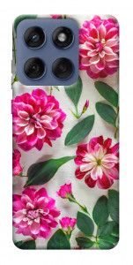 Чохол Floral Elegance для Motorola Edge 60 Fusion