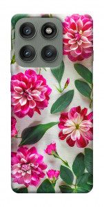 Чохол Floral Elegance для Motorola Edge 60 Pro