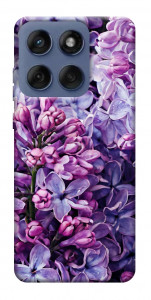 Чохол Violet blossoms для Motorola Edge 60 Fusion