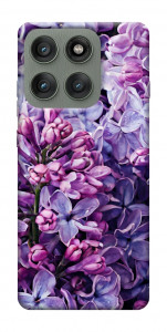 Чохол Violet blossoms для Motorola Edge 60 Pro