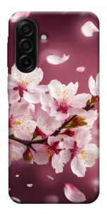 Чохол Sakura для Galaxy A17 5G