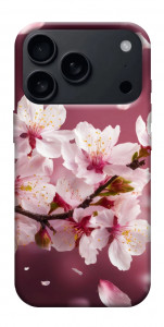 Чохол Sakura для iPhone 17 Pro Max