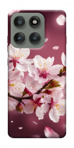 Чохол Sakura для Motorola Edge 60 Pro