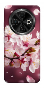 Чехол Sakura для TECNO Spark 30C (KL5n)
