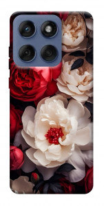 Чохол Velvet roses для Motorola Edge 60 Fusion