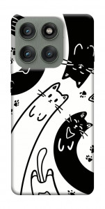 Чохол Чорно-білі коти для Motorola Edge 60 Pro