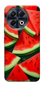 Чохол Ломтики кавуна для TECNO Spark 30 Pro (KL7)