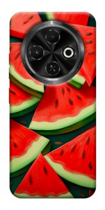 Чехол Скибки арбуза для TECNO Spark 30C (KL5n)