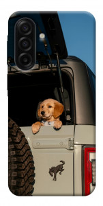 Чохол Dog in the car для Galaxy A17 5G