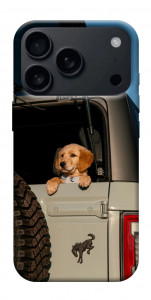 Чохол Dog in the car для iPhone 17 Pro Max