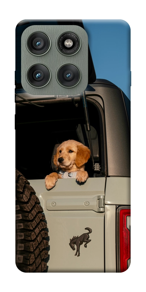 Чохол Dog in the car для Motorola Edge 60 Pro