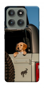 Чохол Dog in the car для Motorola Edge 60 Pro