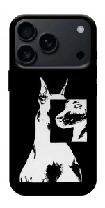 Чохол Look для iPhone 17 Pro Max