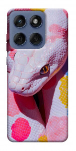 Чохол Colorful Python для Motorola Edge 60 Fusion