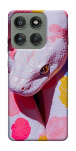 Чохол Colorful Python для Motorola Edge 60 Pro