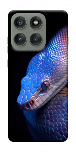 Чохол Cosmic snake для Motorola Edge 60 Pro