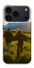 Чохол Happy couple для iPhone 17 Pro Max