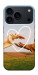 Чохол Hands для iPhone 17 Pro Max