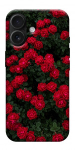 Чохол Eternal roses для iPhone 17