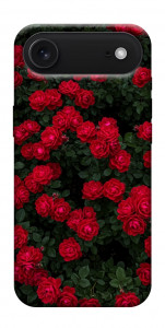 Чохол Eternal roses для iPhone 17 Air