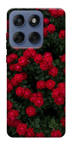 Чохол Eternal roses для Motorola Edge 60 Fusion