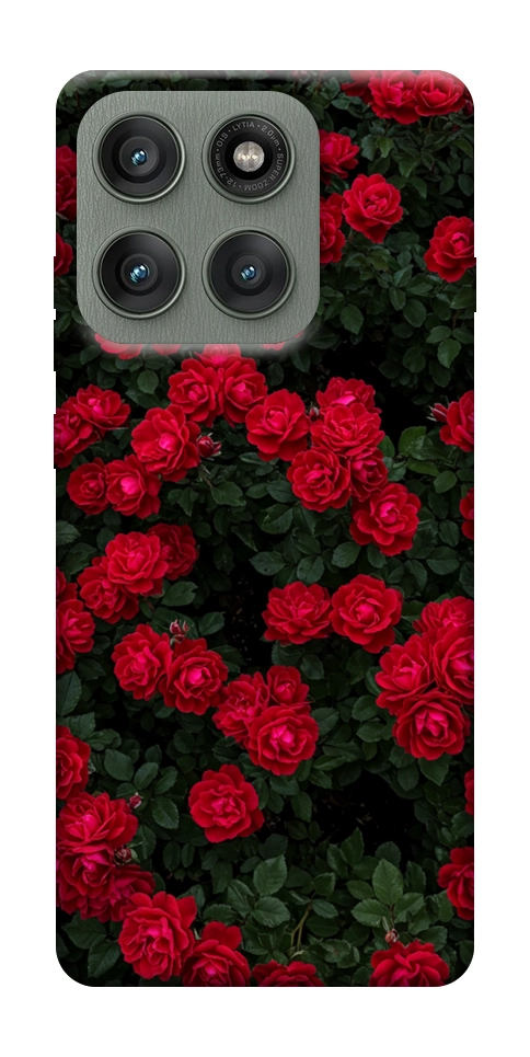 Чохол Eternal roses для Motorola Edge 60 Pro