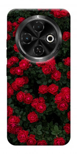 Чехол Eternal roses для TECNO Spark 30C (KL5n)