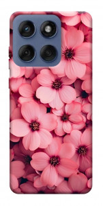 Чохол Pink flowers для Motorola Edge 60 Fusion