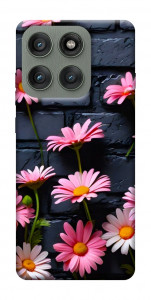 Чохол Рожевий контраст для Motorola Edge 60 Pro
