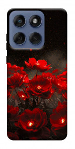 Чохол Burning flowers для Motorola Edge 60 Fusion