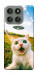 Чохол Ufo cat для Motorola Edge 60 Pro