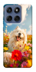 Чохол Happy dog in flowers для Motorola Edge 60 Fusion