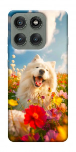 Чохол Happy dog in flowers для Motorola Edge 60 Pro