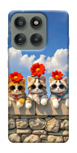 Чохол Flower cats для Motorola Edge 60 Pro