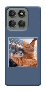 Чохол Котяча ніжність для Motorola Edge 60 Pro